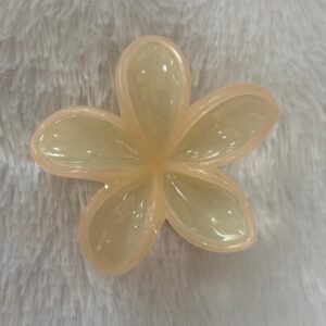 Pastel colour claw clip