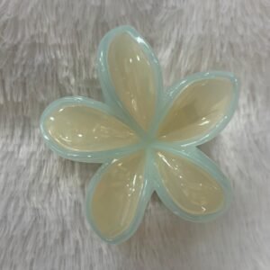 Pastel colour claw clip